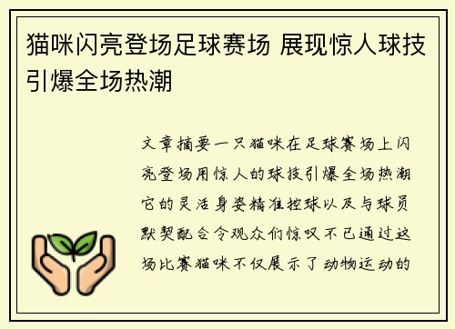 猫咪闪亮登场足球赛场 展现惊人球技引爆全场热潮
