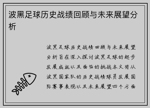 波黑足球历史战绩回顾与未来展望分析