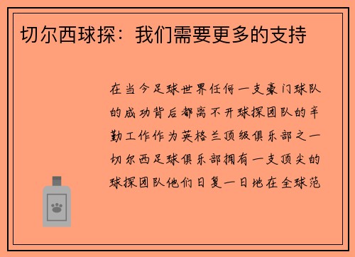 切尔西球探：我们需要更多的支持