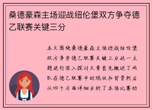 桑德豪森主场迎战纽伦堡双方争夺德乙联赛关键三分