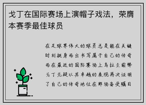 戈丁在国际赛场上演帽子戏法，荣膺本赛季最佳球员