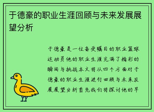 于德豪的职业生涯回顾与未来发展展望分析
