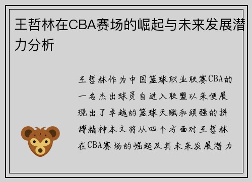 王哲林在CBA赛场的崛起与未来发展潜力分析