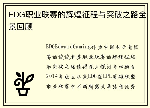EDG职业联赛的辉煌征程与突破之路全景回顾