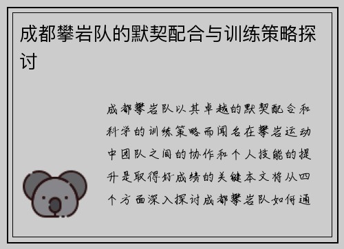 成都攀岩队的默契配合与训练策略探讨