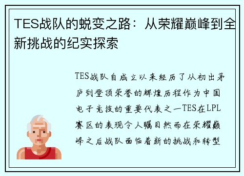 TES战队的蜕变之路：从荣耀巅峰到全新挑战的纪实探索