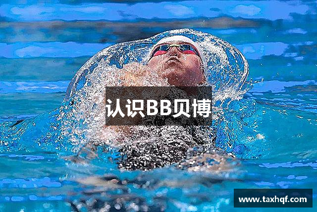 认识BB贝博